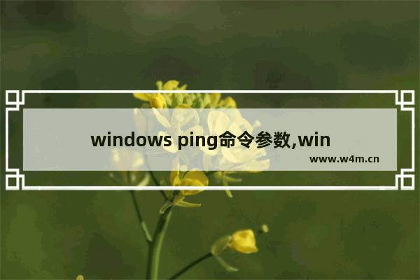 windows ping命令参数,windows ping命令大全