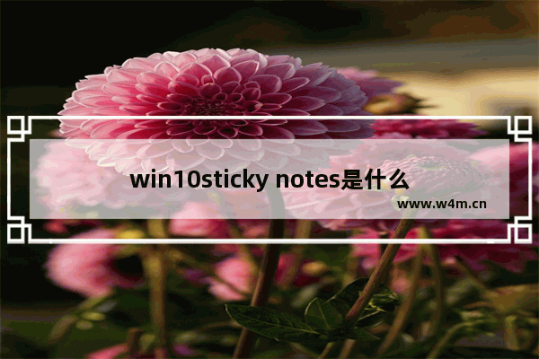 win10sticky notes是什么,windows sticky notes