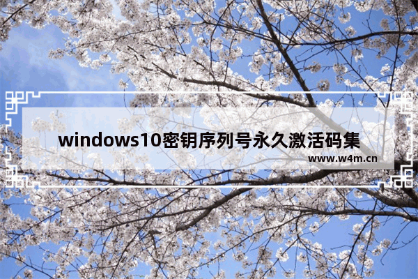 windows10密钥序列号永久激活码集合,win10序列号激活步骤