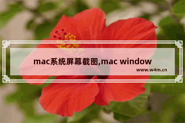 mac系统屏幕截图,mac windows 截图