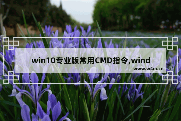 win10专业版常用CMD指令,window10如何cmd