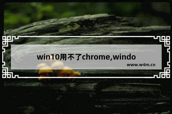 win10用不了chrome,windows10谷歌浏览器用不了怎么办