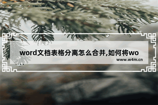 word文档表格分离怎么合并,如何将word分解组合