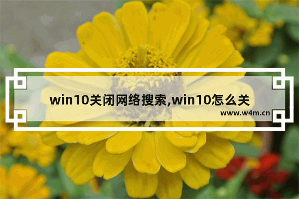 win10关闭网络搜索,win10怎么关闭自动搜索