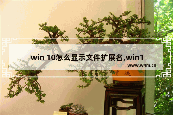 win 10怎么显示文件扩展名,win10怎样打开文件扩展名