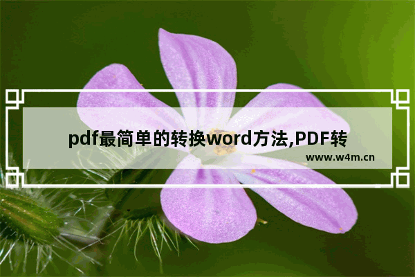 pdf最简单的转换word方法,PDF转换成Word转换器