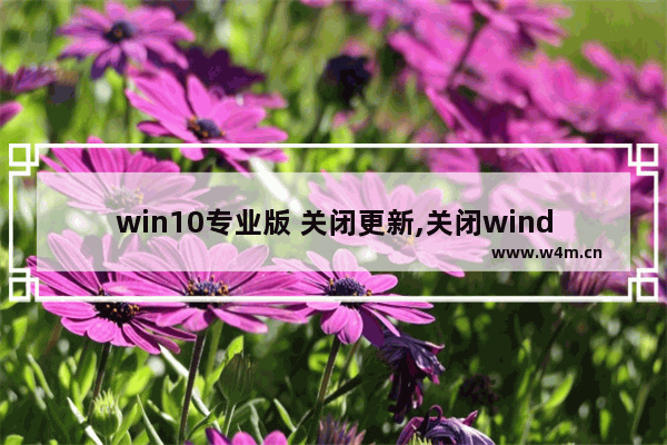 win10专业版 关闭更新,关闭windows10专业版自动更新