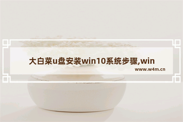 大白菜u盘安装win10系统步骤,win10 U盘安装 大白菜