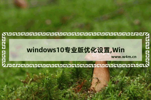 windows10专业版优化设置,Win10优化版