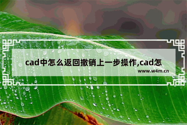 cad中怎么返回撤销上一步操作,cad怎么撤销返回上一步