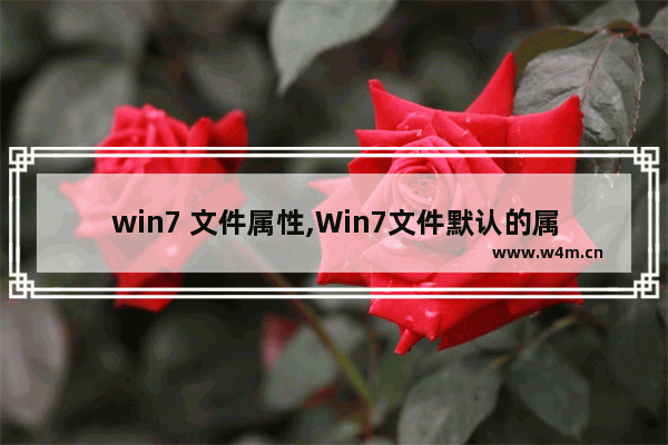 win7 文件属性,Win7文件默认的属性是