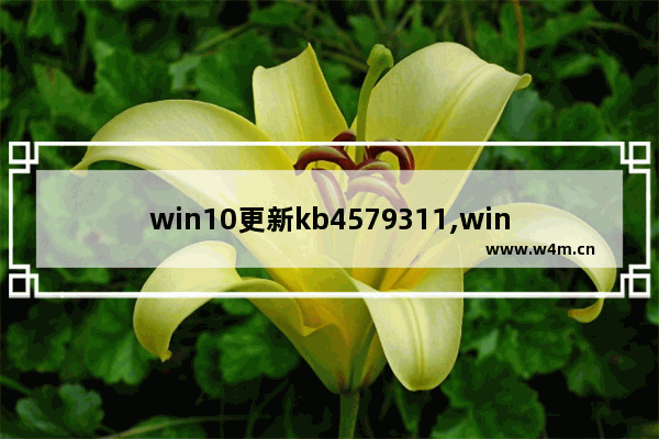 win10更新kb4579311,win10更新kb4601382_2