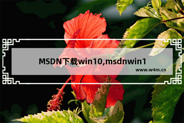 MSDN下载win10,msdnwin10怎么下载