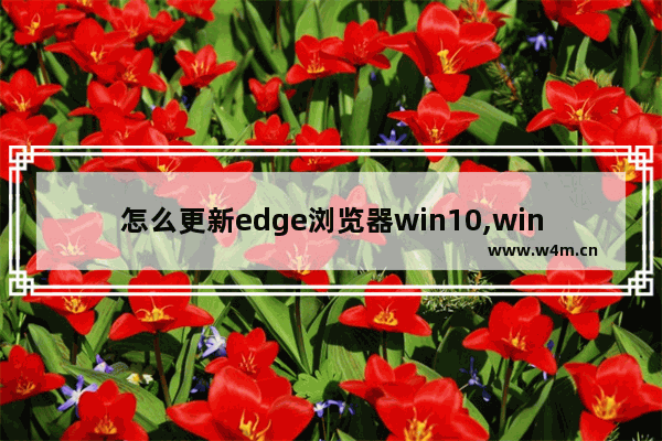 怎么更新edge浏览器win10,win10microsoft edge怎么更新