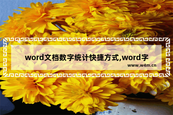 word文档数字统计快捷方式,word字数统计功能