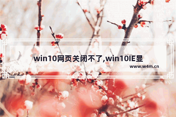 win10网页关闭不了,win10IE显示已取消网页导航