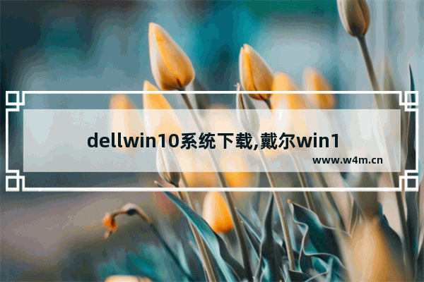 dellwin10系统下载,戴尔win10专业版