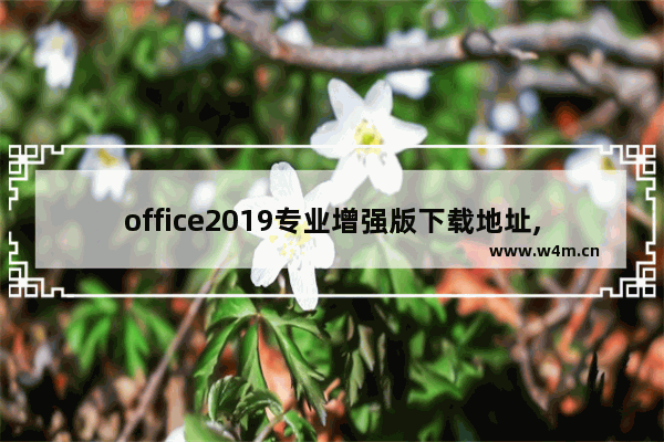 office2019专业增强版下载地址,office2019专业增强版如何下载