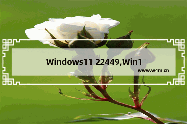 Windows11 22449,Win11 22449