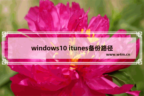 windows10 itunes备份路径,windows itunes备份文件在哪