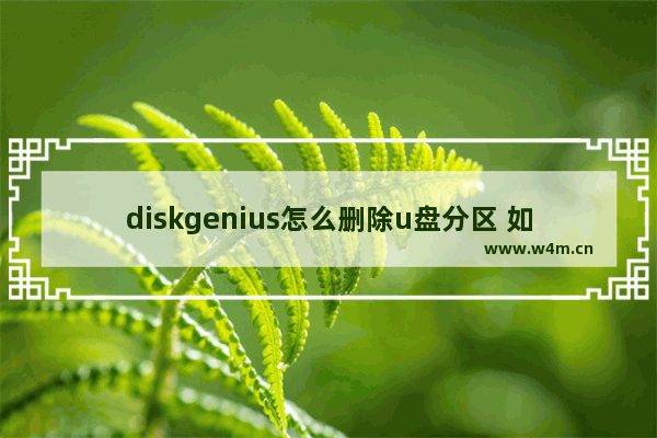 diskgenius怎么删除u盘分区 如何使用DiskGenius删除U盘分区