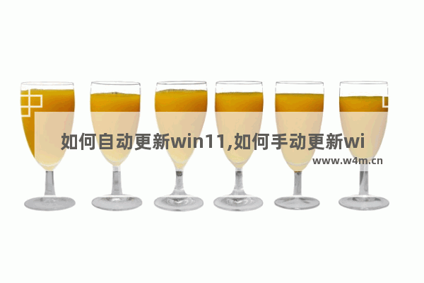 如何自动更新win11,如何手动更新windows10