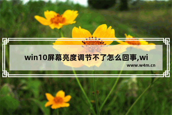 win10屏幕亮度调节不了怎么回事,win10系统无法调节屏幕亮度