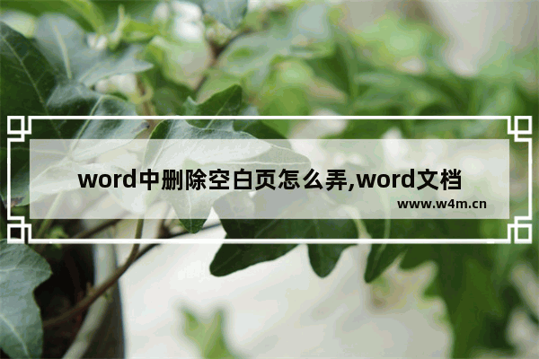 word中删除空白页怎么弄,word文档删除空白页的方法