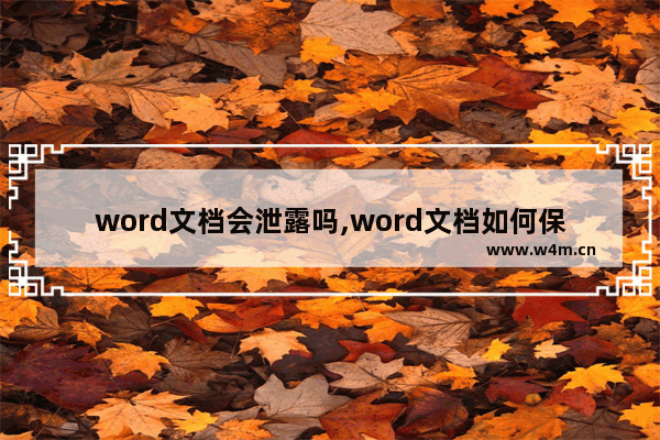 word文档会泄露吗,word文档如何保护隐私