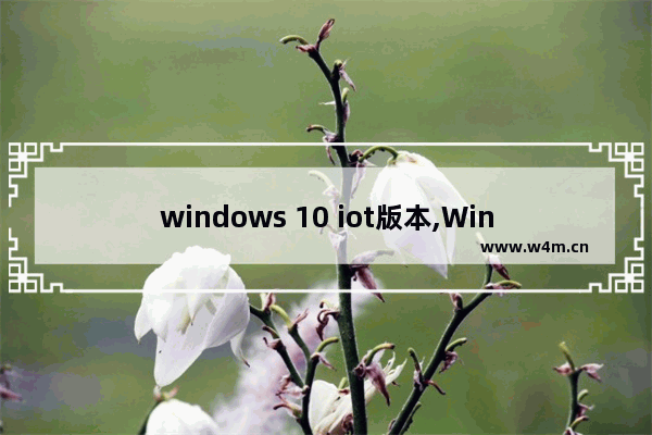 windows 10 iot版本,Windows10 IoT