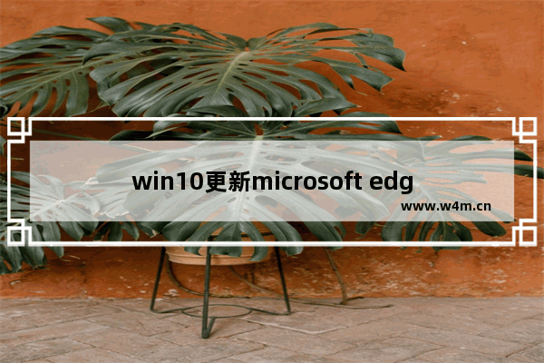 win10更新microsoft edge,更新的microsoft edge