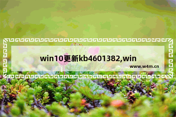 win10更新kb4601382,win10更新kb4023057_5