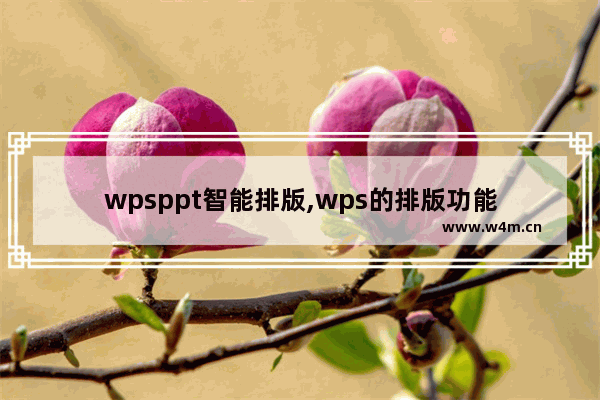 wpsppt智能排版,wps的排版功能