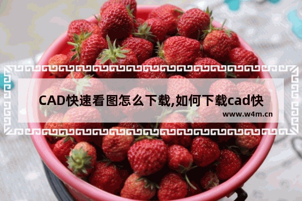 CAD快速看图怎么下载,如何下载cad快速看图