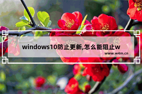 windows10防止更新,怎么能阻止windows10系统更新