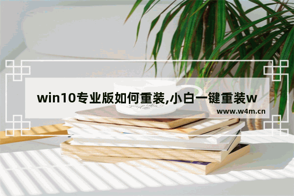 win10专业版如何重装,小白一键重装win10系统专业版