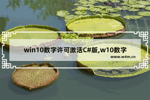 win10数字许可激活C#版,w10数字许可c版怎么使用