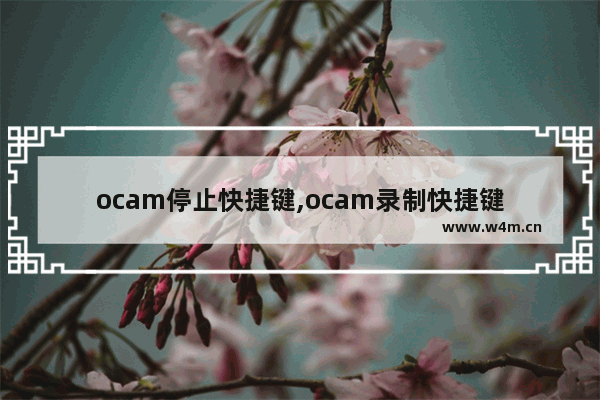 ocam停止快捷键,ocam录制快捷键