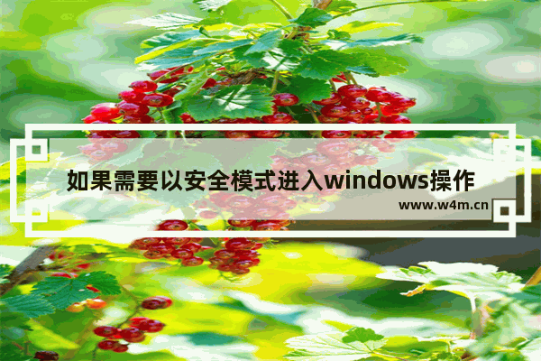 如果需要以安全模式进入windows操作系统,下面哪些不是windows操作系统的安全机制-