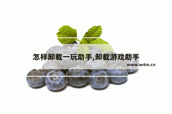 怎样卸载一玩助手,卸载游戏助手