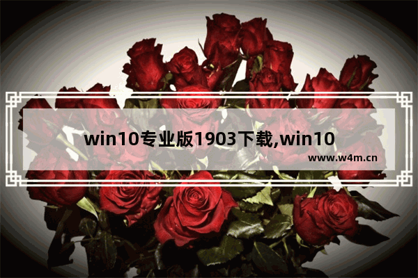 win10专业版1903下载,win101909镜像下载