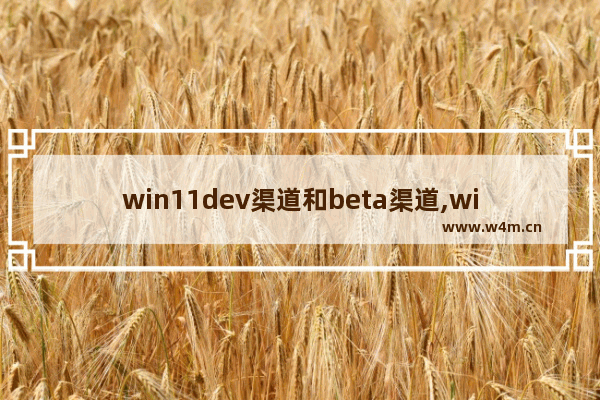 win11dev渠道和beta渠道,windows11选dev渠道还是beta渠道_2