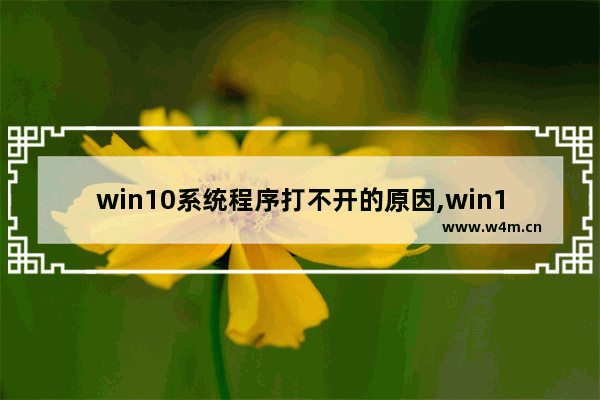 win10系统程序打不开的原因,win10程序都打不开