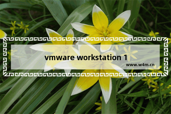 vmware workstation 14 player,vmware workstation16 player