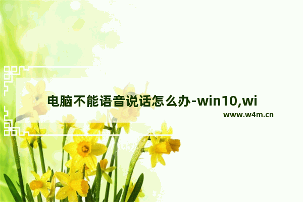 电脑不能语音说话怎么办-win10,win10微信语音说不了话