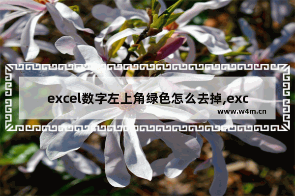 excel数字左上角绿色怎么去掉,excel数字左上角绿色怎么批量去掉