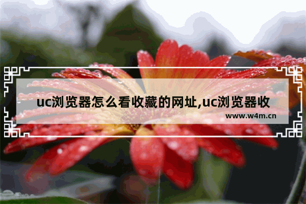 uc浏览器怎么看收藏的网址,uc浏览器收藏的文章在哪里