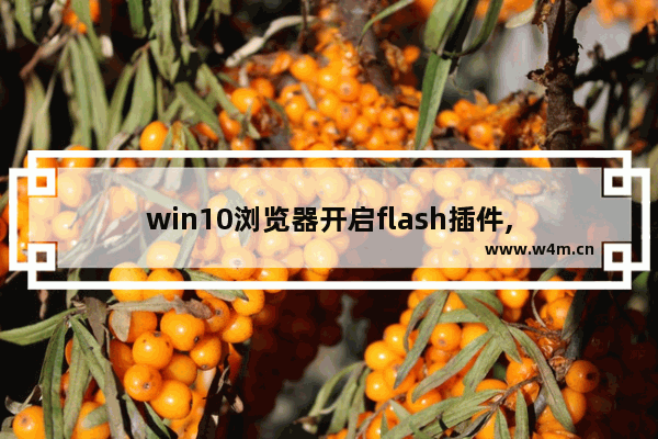 win10浏览器开启flash插件,