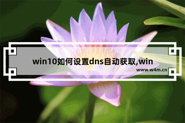 win10如何设置dns自动获取,win10如何设置dns地址的重点