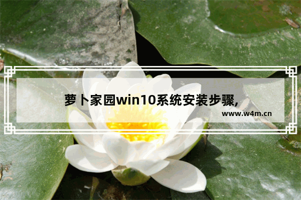 萝卜家园win10系统安装步骤,